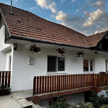 Aparthotel Balazs Vendeghaz Lupeni  Exterior foto