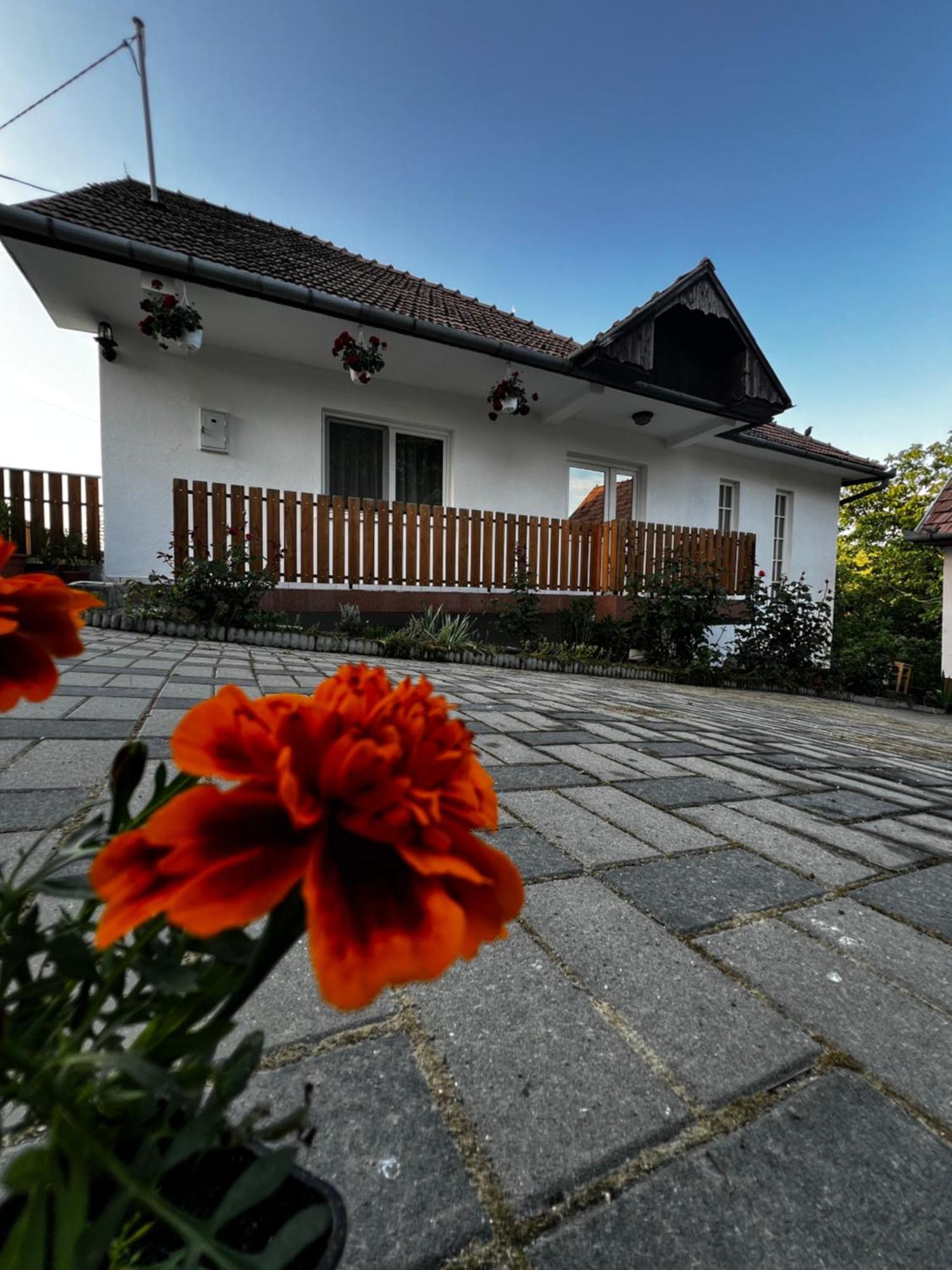 Aparthotel Balazs Vendeghaz Lupeni  Exterior foto